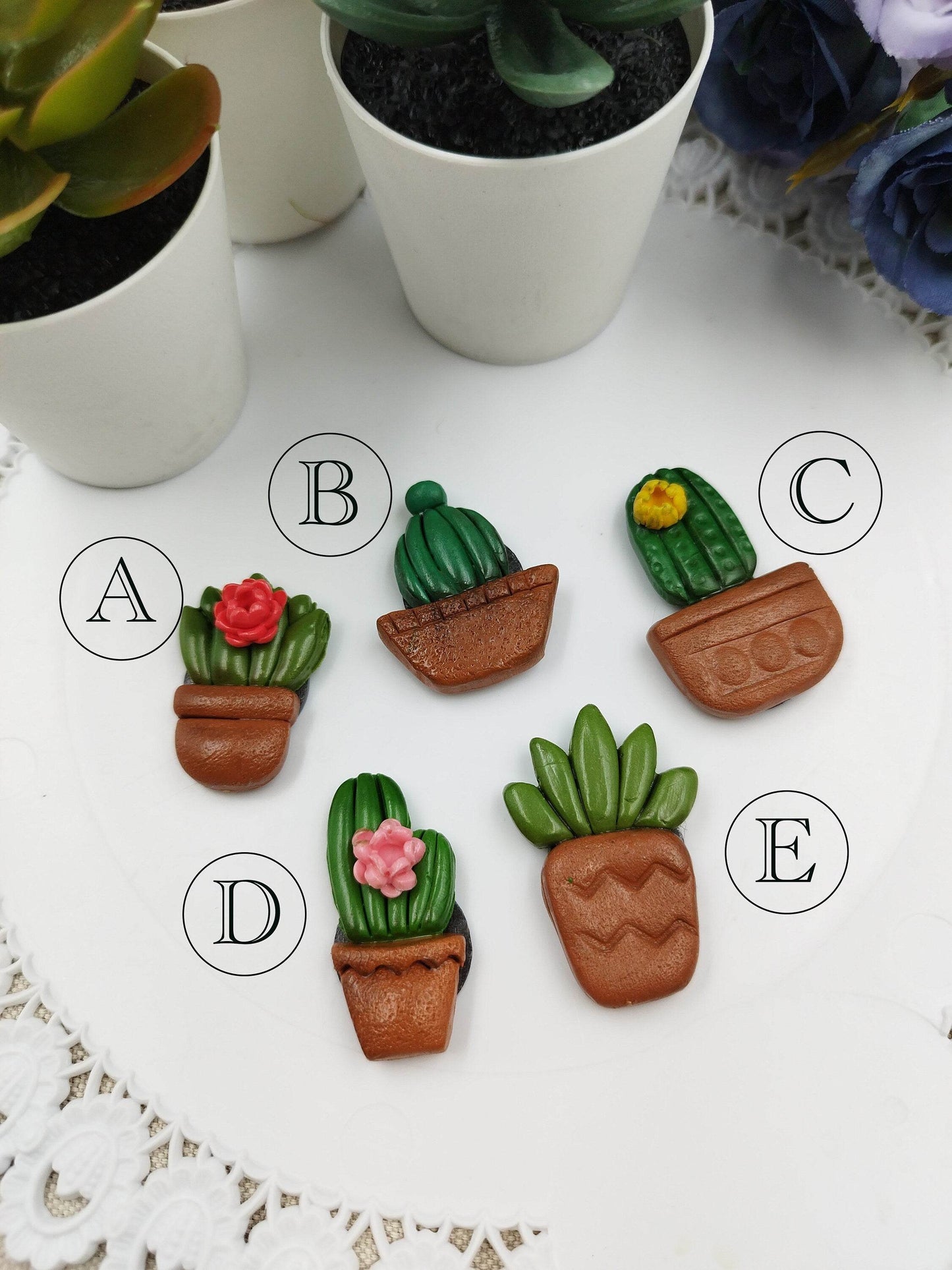 Calamite Artigianali - Cactus e pianta grasse succulente - Loopy Clay