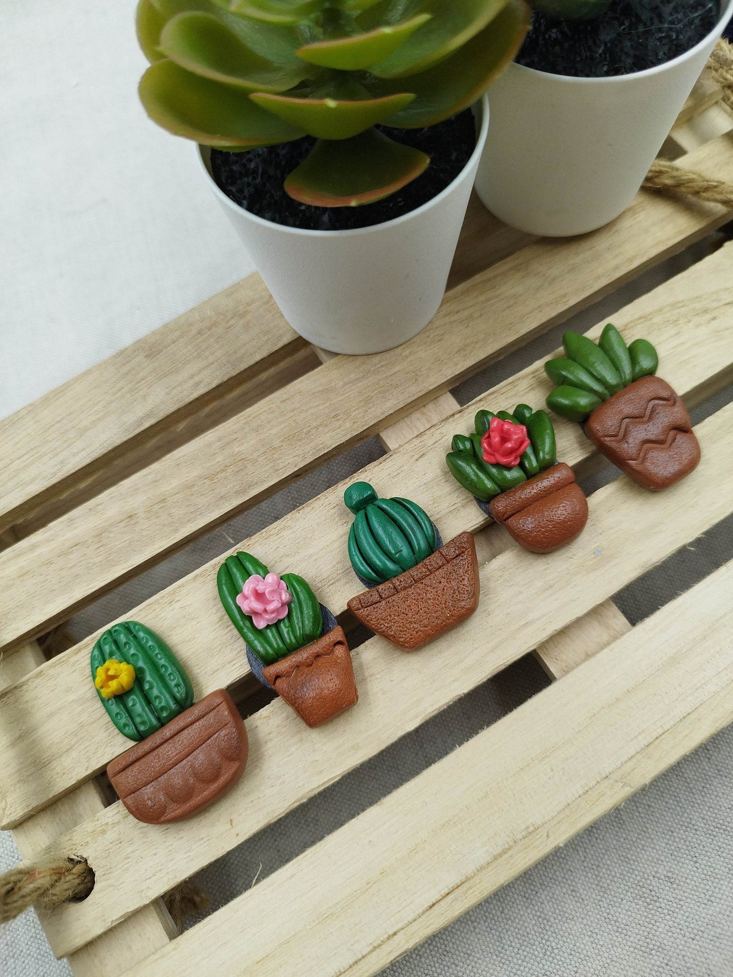 Calamite Artigianali - Cactus e pianta grasse succulente - Loopy Clay