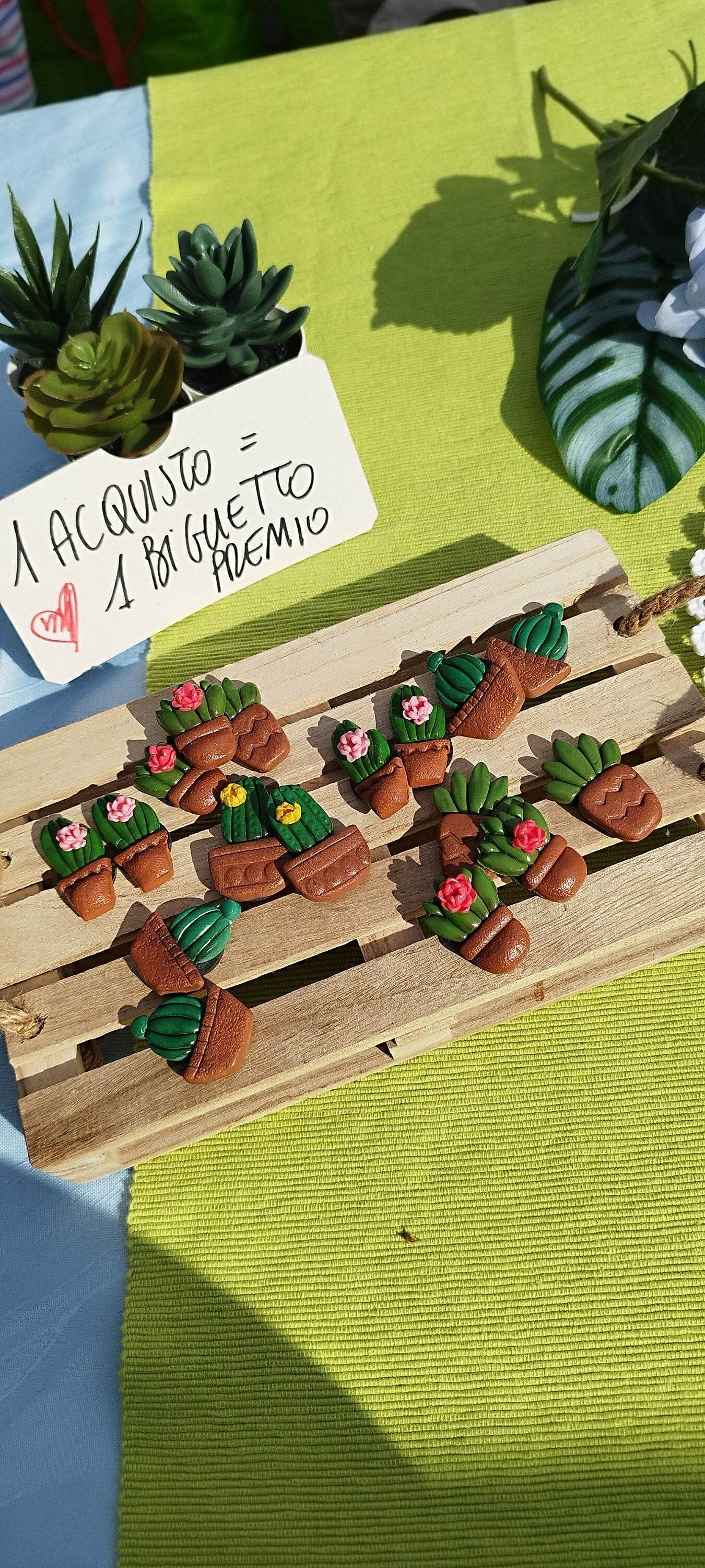 Calamite Artigianali - Cactus e pianta grasse succulente - Loopy Clay