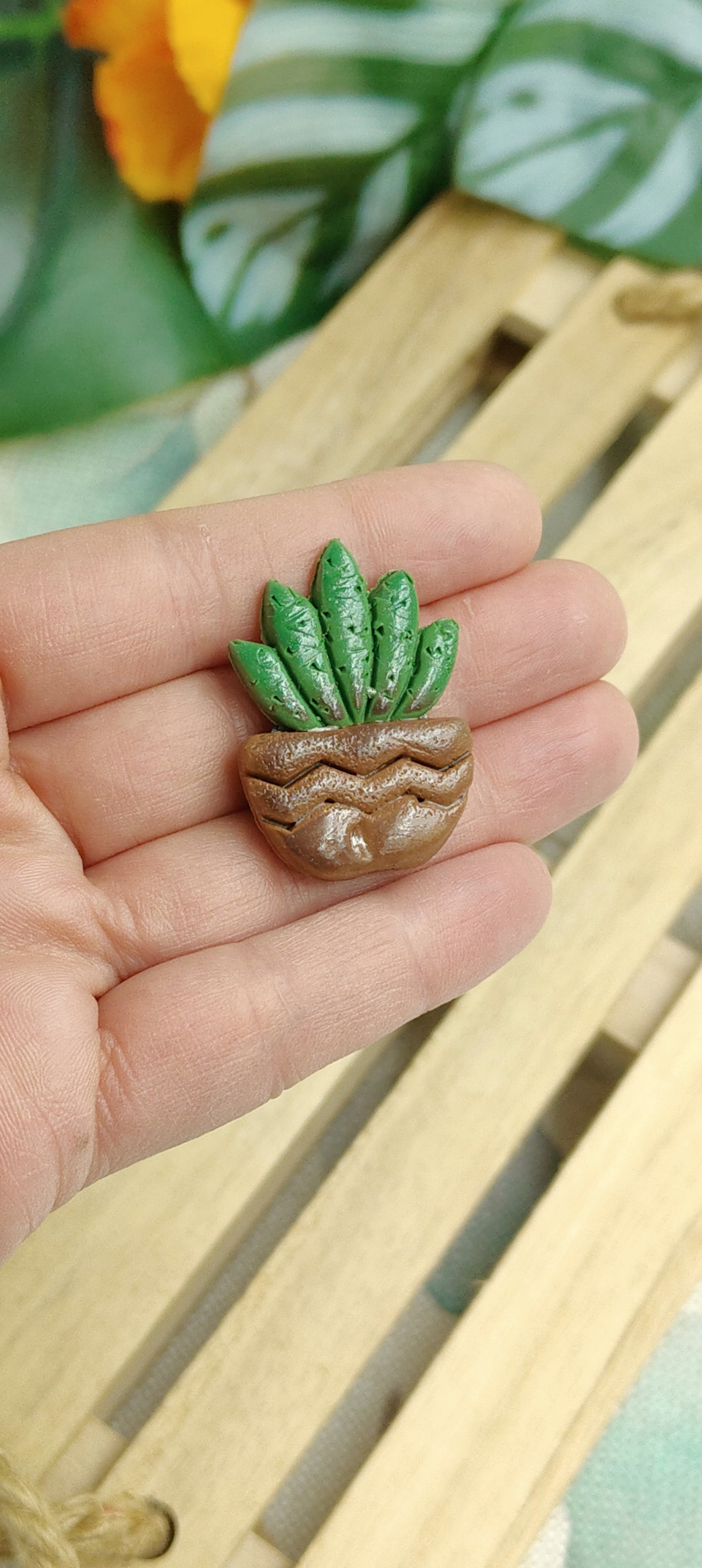 Handcrafted Magnets - Cactus and Succulent Plants