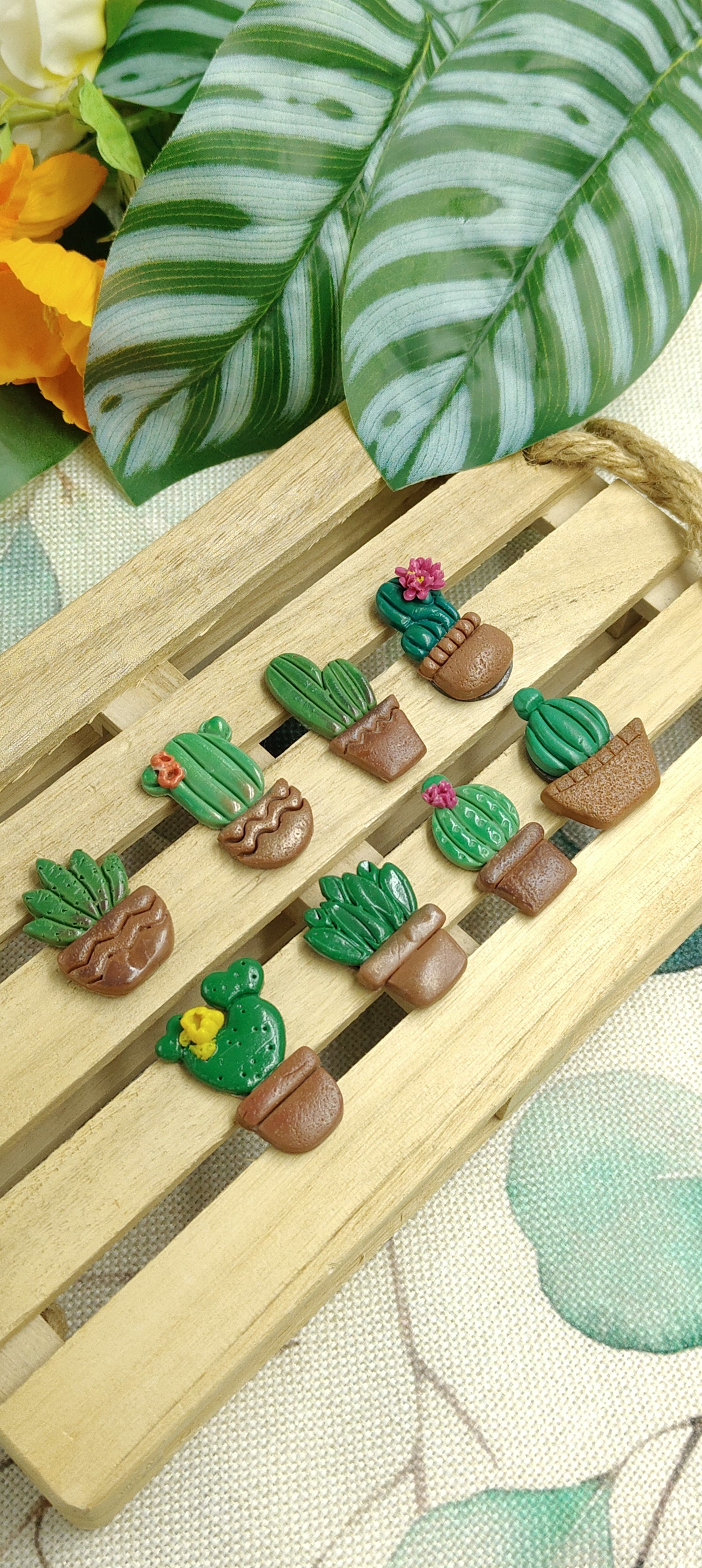 Calamite Artigianali - succulente in fiore - 2025