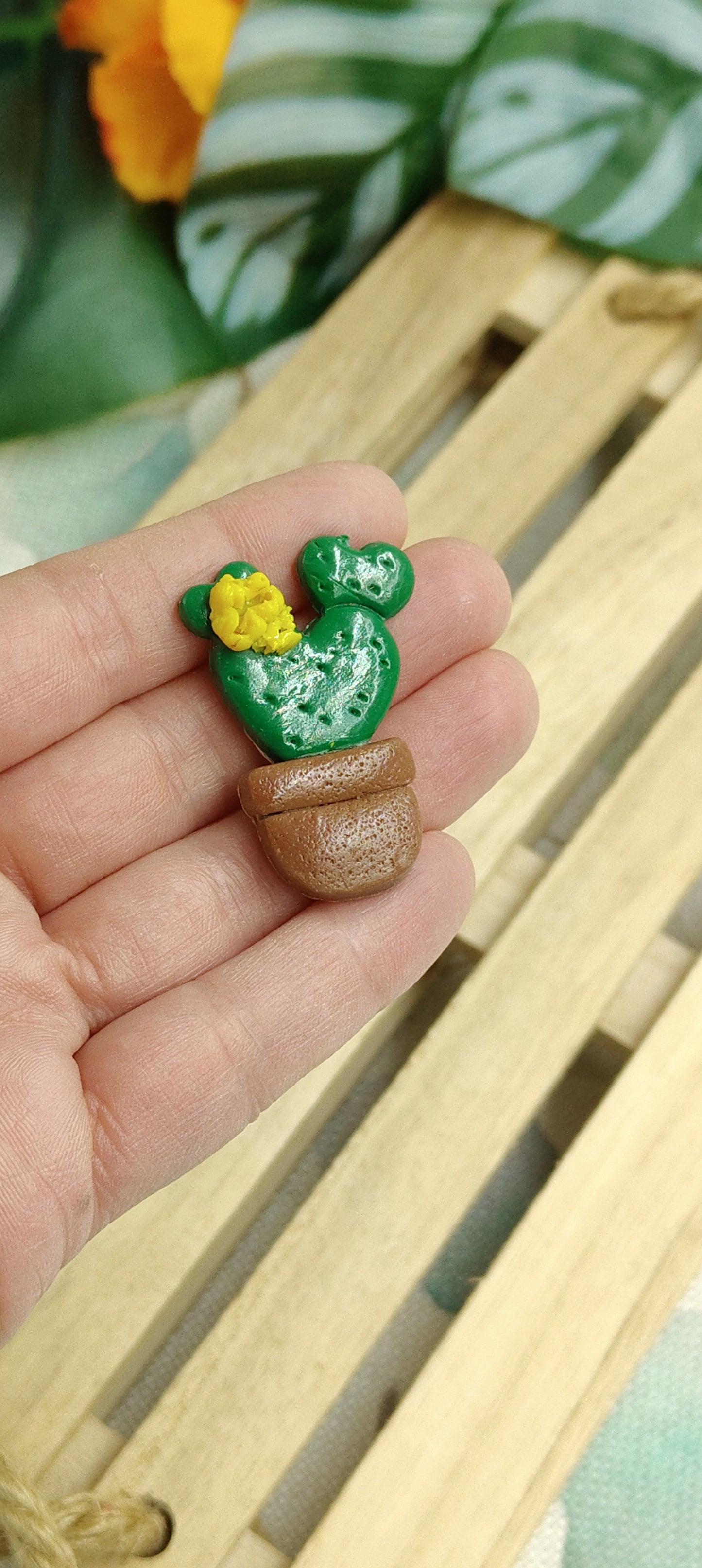 Handcrafted Magnets - Cactus and Succulent Plants