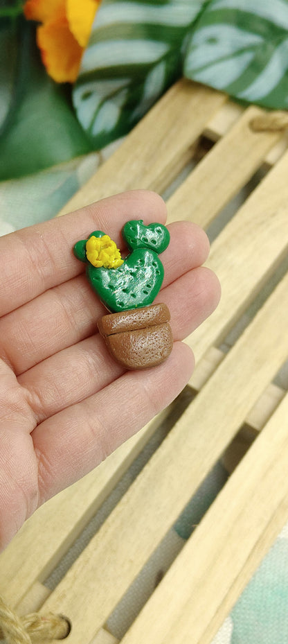 Calamite Artigianali - succulente in fiore - 2025