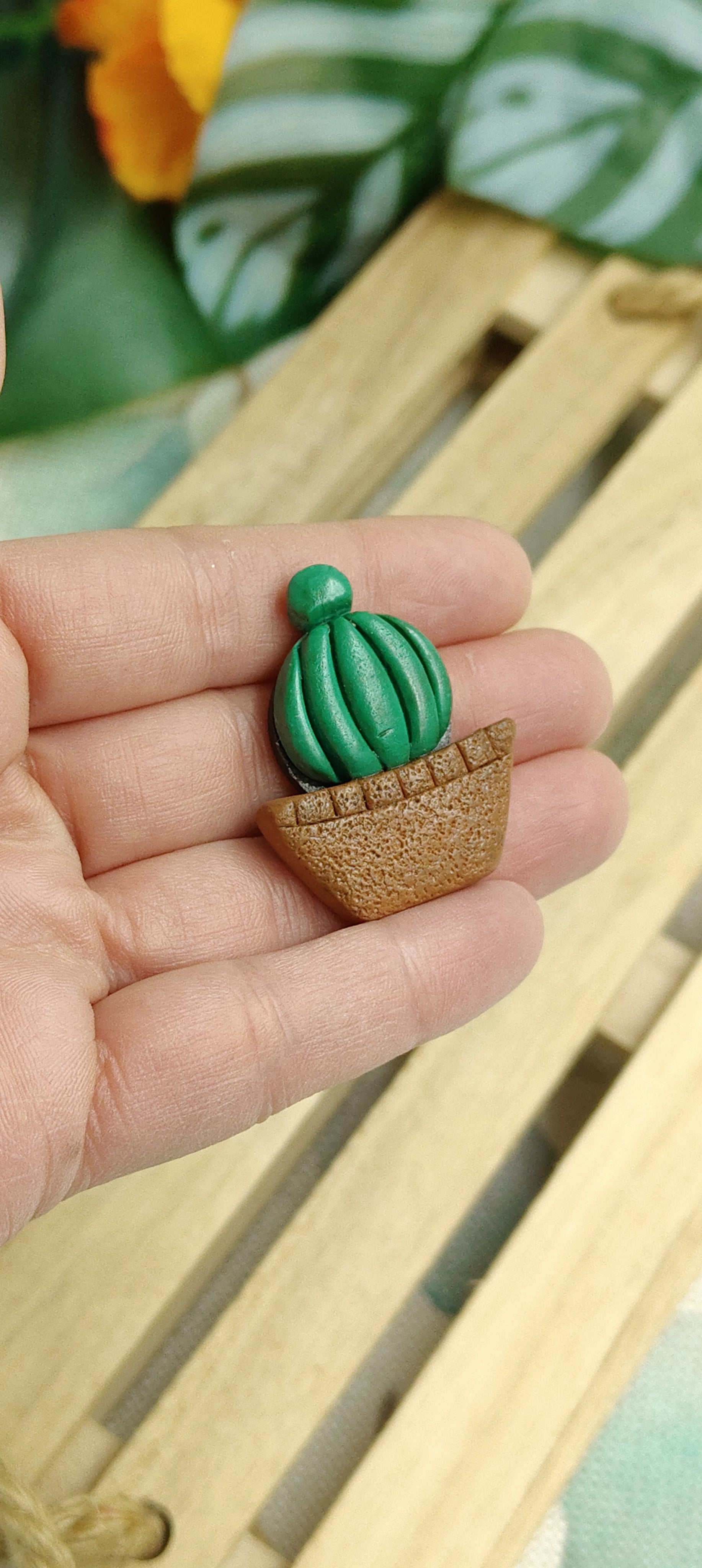 Calamite Artigianali - succulente in fiore - 2025