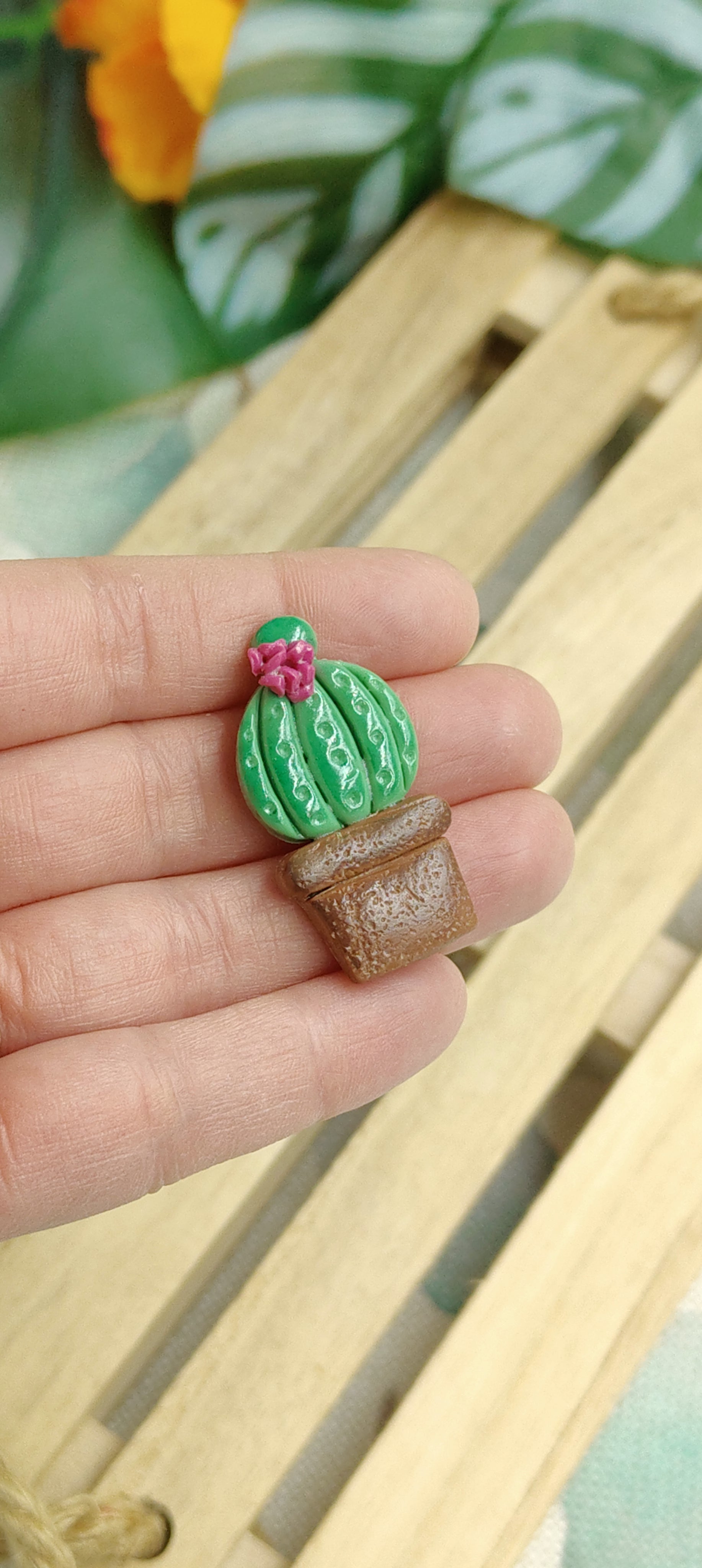 Calamite Artigianali - succulente in fiore - 2025