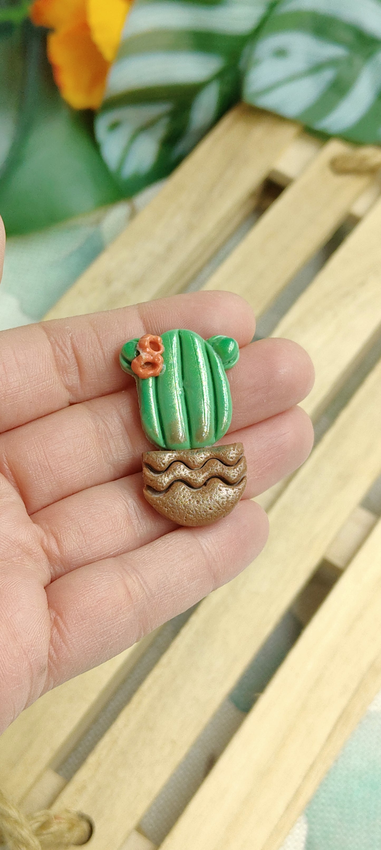Handcrafted Magnets - Cactus and Succulent Plants