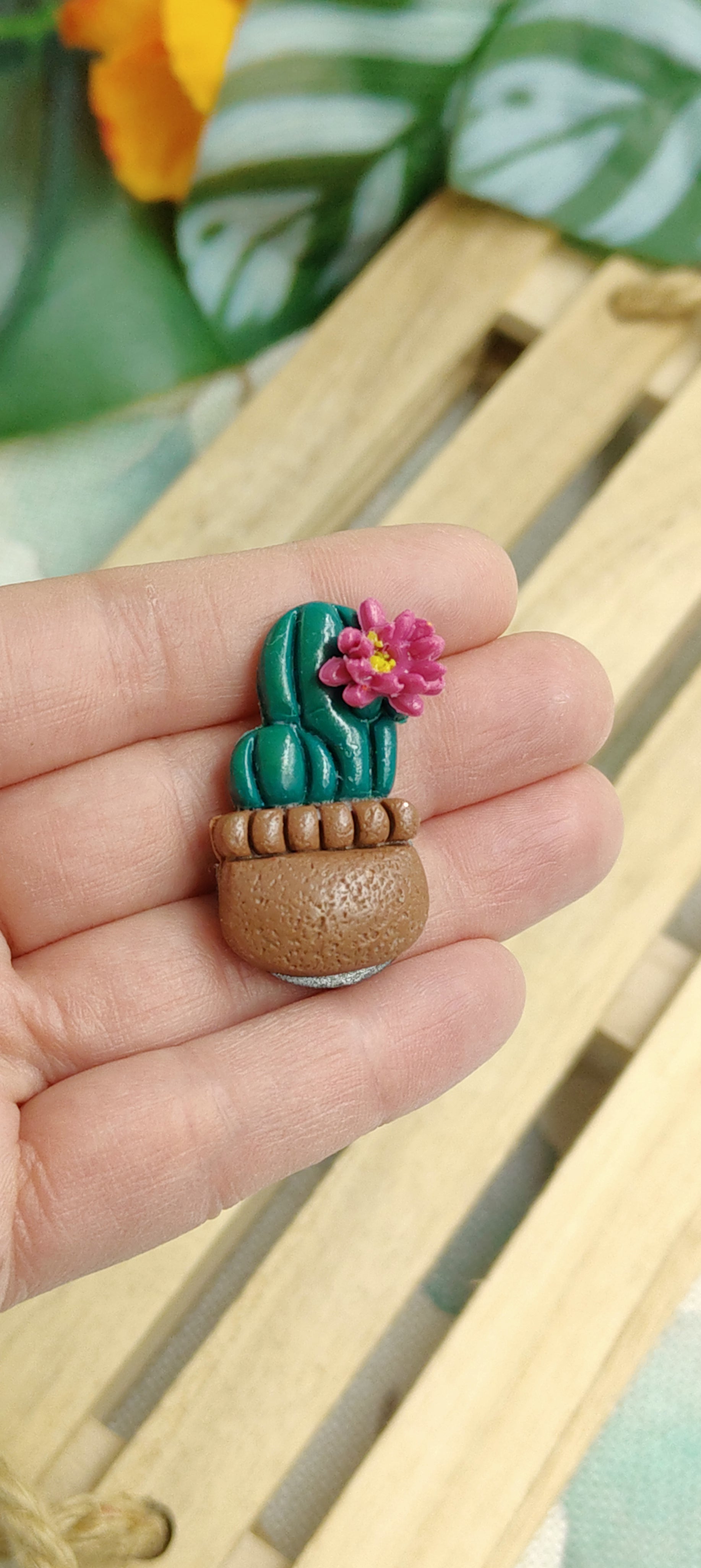 Calamite Artigianali - succulente in fiore - 2025