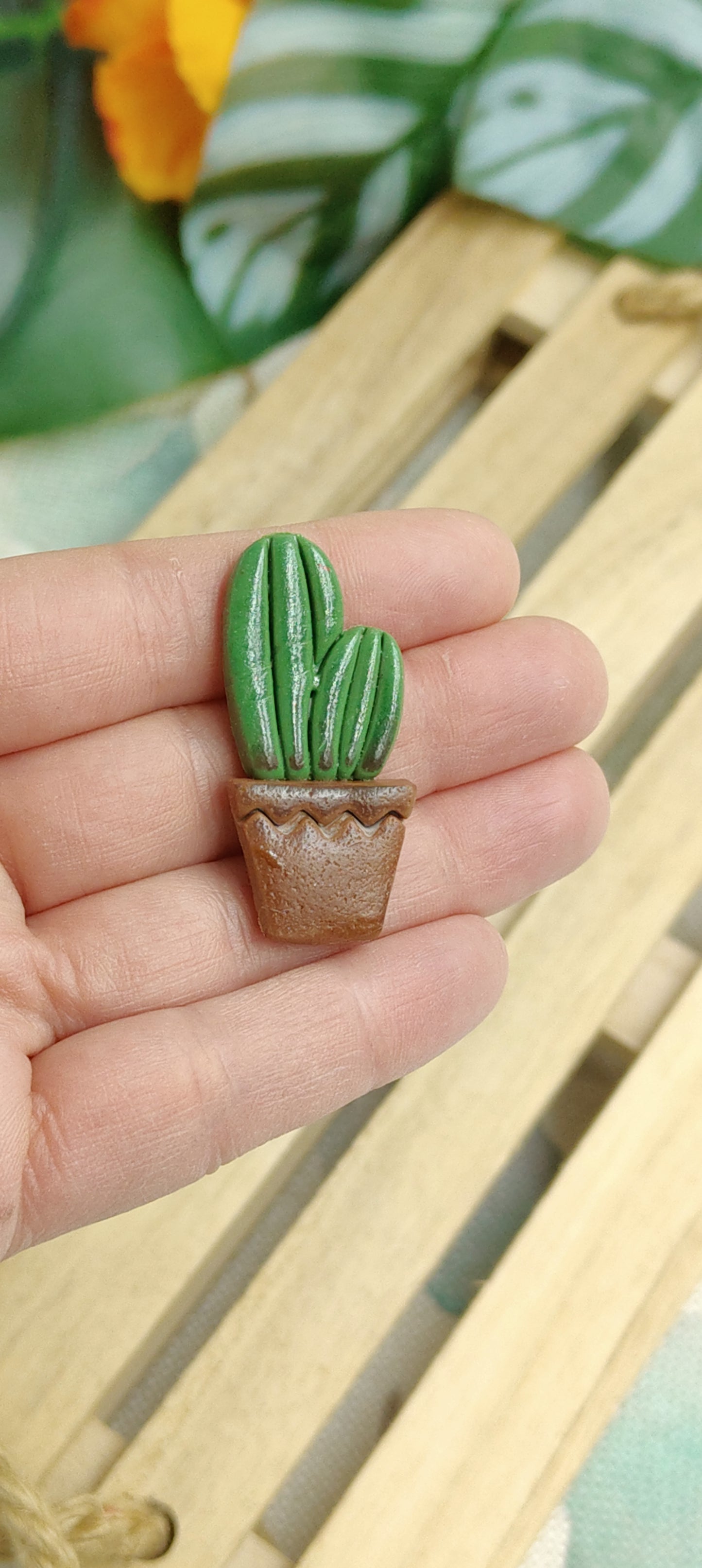 Handcrafted Magnets - Cactus and Succulent Plants