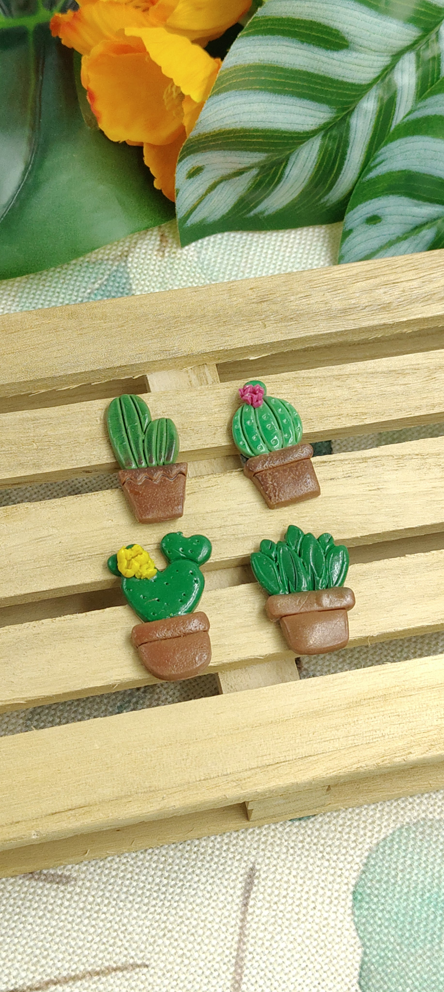 Calamite Artigianali - succulente in fiore - 2025