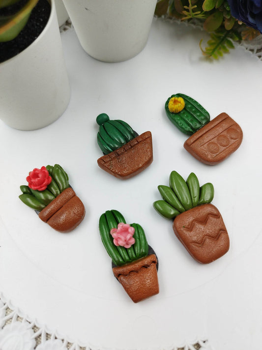 Calamite Artigianali - Cactus e pianta grasse succulente - Loopy Clay