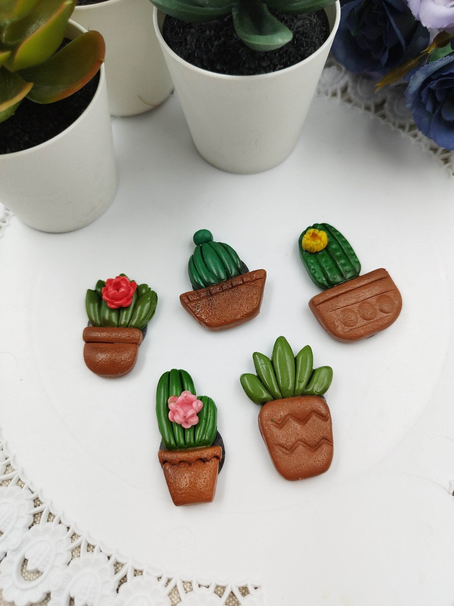 Calamite Artigianali - Cactus e pianta grasse succulente - Loopy Clay